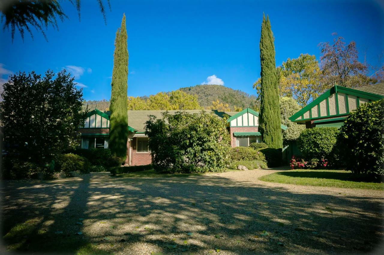 The Birch House - Silver Birches Accommodation Bright Exterior foto